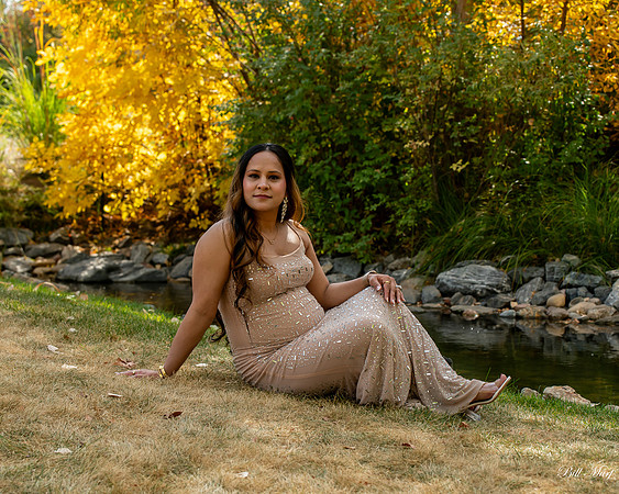 BIL_2368-2