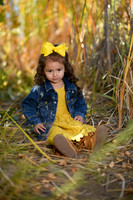 BIL_3362