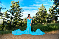 BIL_2193