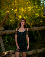 BIL_2962