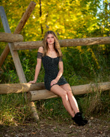 BIL_2965