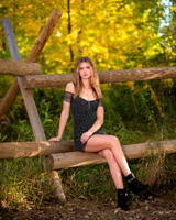 BIL_2966 copy