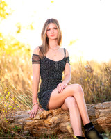BIL_2991 copy