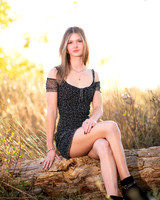 BIL_2991 copy