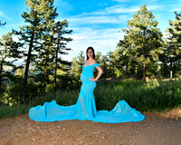 BIL_2194