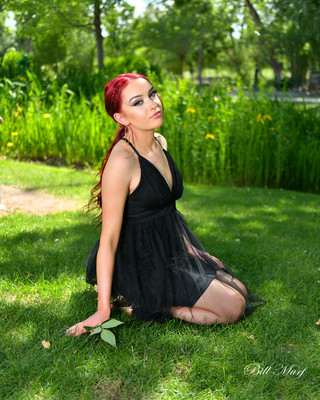 BIL_9233