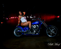 BIL_1361