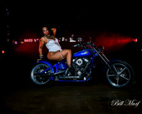 BIL_1362