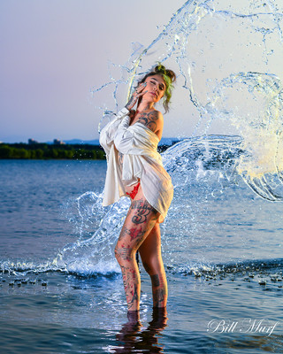 BIL_3848