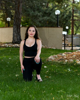 BIL_3313