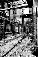 St Reich BW (6 of 42)
