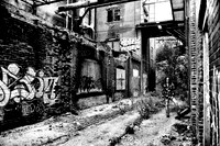 St Reich BW (7 of 42)
