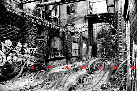 St Reich BW (7 of 42)