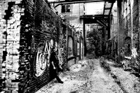 St Reich BW (8 of 42)