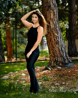 BIL_3411