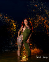 BIL_8017