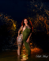 BIL_8017