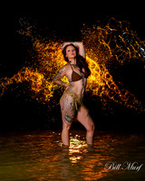 BIL_8028