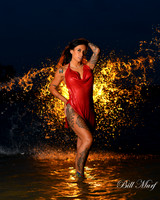 BIL_8006-2