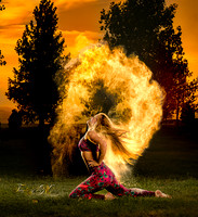 _BIL2985 copy