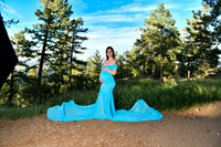 BIL_2195