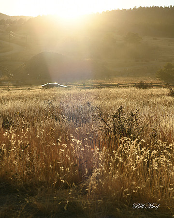 BIL_2321