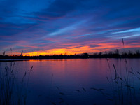 _C037134