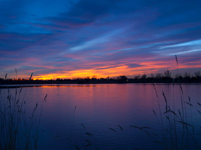 _C037134