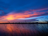 _C037147