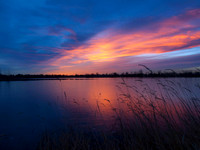 _C037148