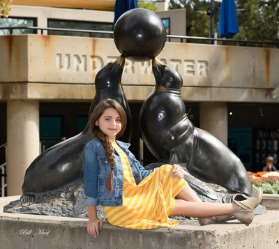 BIL_2564