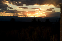 BIL_7701
