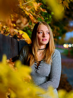 BIL_7223vibrane