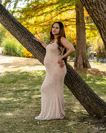 BIL_2365-2