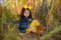 BIL_3365
