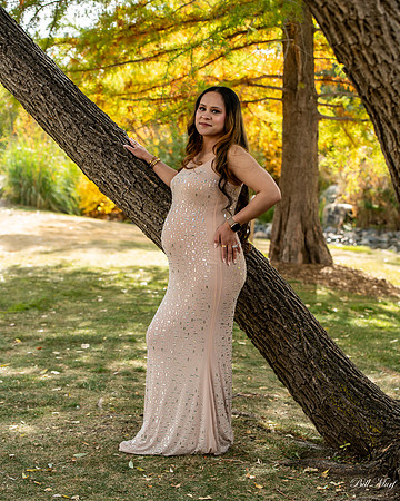 BIL_2366-2