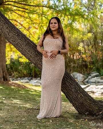 BIL_2362-2