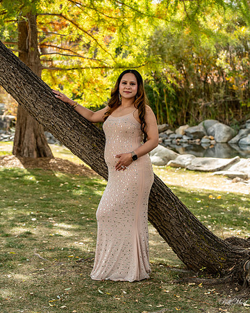 BIL_2361-2